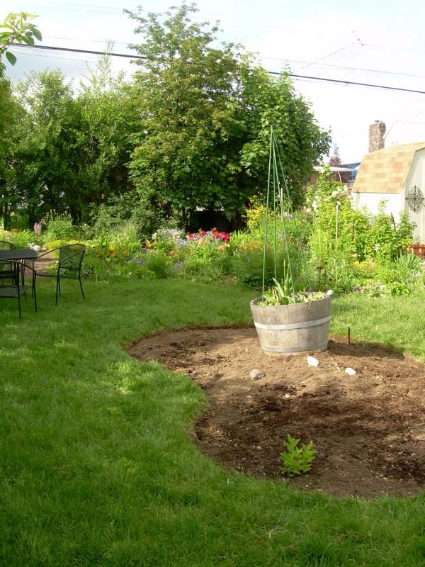  photo DSCN3048_zps7c131887.jpg